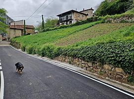 El Principado mejora las carreteras de Peñamellera Alta con una inversión de 258.000 euros