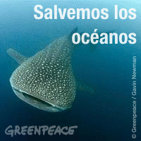 Greenpeace