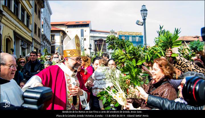 FOTOGALERÍA. Semana Santa. Bendición del Ramo en Oviedo