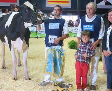 #AGROPEC.Una vaca de Badiola, gran campeona nacional de frisona