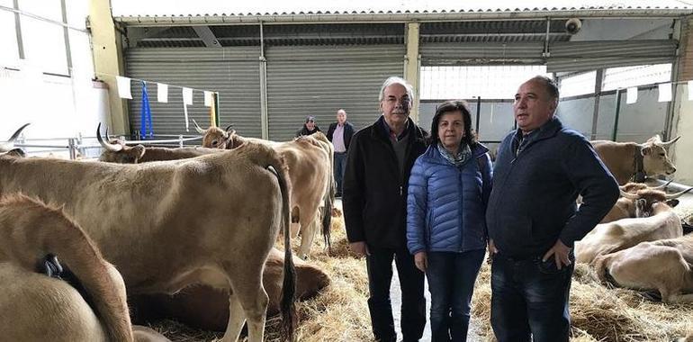 Asturias destina 3,8 millones a la primera instalación de 155 jóvenes agricultores