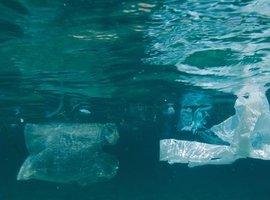 Greenpeace: El R.D. para reducir el consumo de bolsas de plástico no es la solución