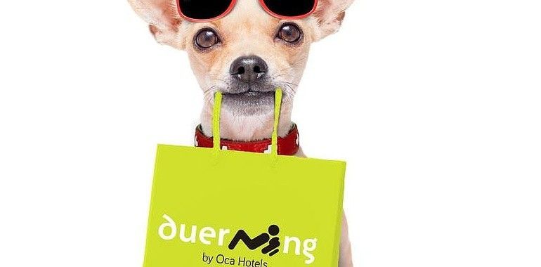 Oca Hotels impulsa un programa especial para mascotas 