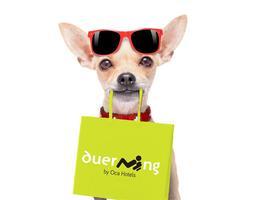 Oca Hotels impulsa un programa especial para mascotas 