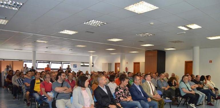 123 seleccionados por el nuevo Plan de Empleo del Ayuntamiento de Oviedo