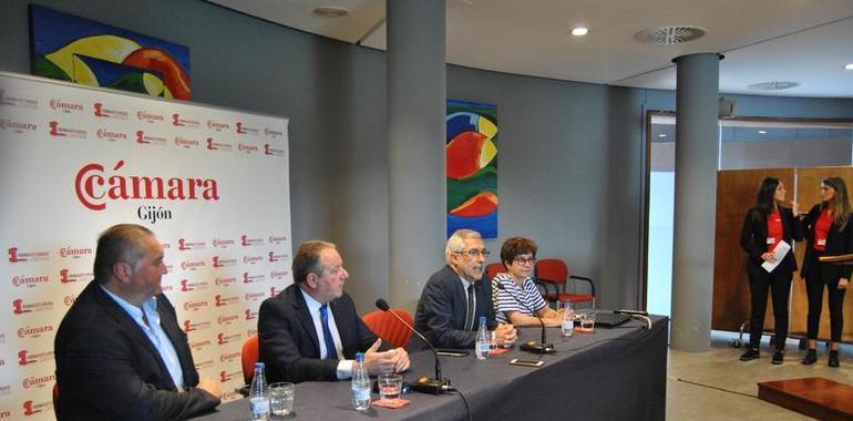 Argüelles tilda como “muy preocupante” la transición energética que propone el PSOE