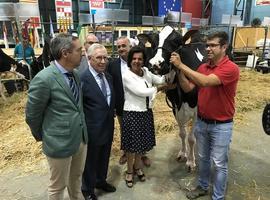 AGROPEC: Asturias lidera por noveno mes consecutivo el precio de la leche