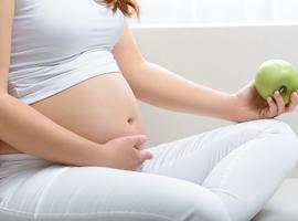 La transferencia diferida del embrión aumenta probabilidades de embarazo en mujeres con obesidad 