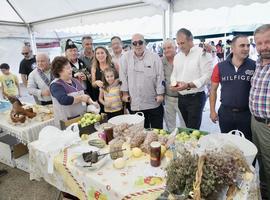 Camaleño celebra la feria agroalimentaria Hechu en Liébana