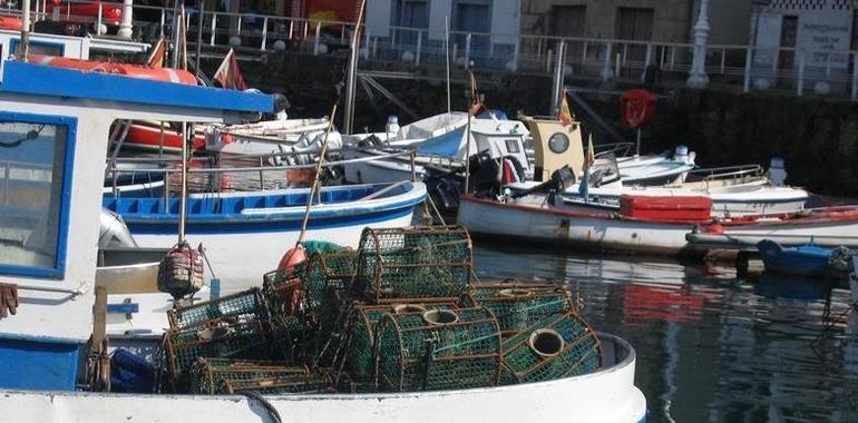 Pitada de Uniovi en defensa de la gestión de las pesquerías autóctonas
