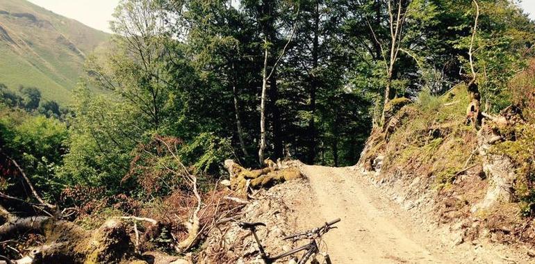 La Coordinadora Ecoloxista de Asturias denuncia las obras de la pista de Piedrafita