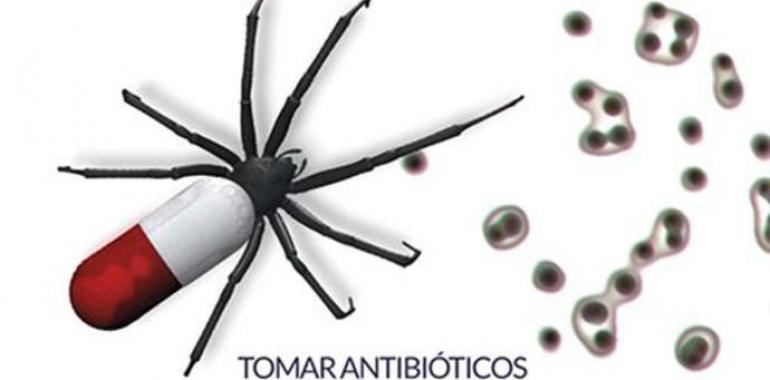 Carcedo presenta el Plan Nacional frente a la Resistencia a Antibióticos 