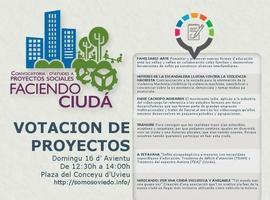 Seis proyectos optan a 3.000 euros del salario de los concejales de Somos Oviedo 