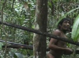 Survival pide protección policial para pueblo indígena no contactado