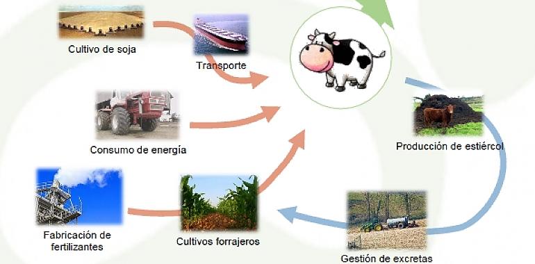 La ganadería lechera asturiana controla su huella de carbono