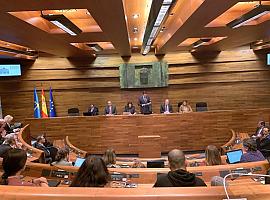 La Junta General rechaza el cierre de la central térmica del Narcea