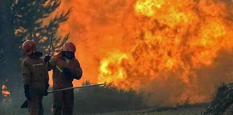 Un centenar de incendios arden en 32 concejos de Asturias