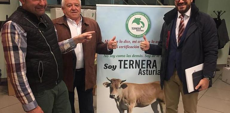 VOX pide más apoyo a la Ternera Asturiana y los productos del país