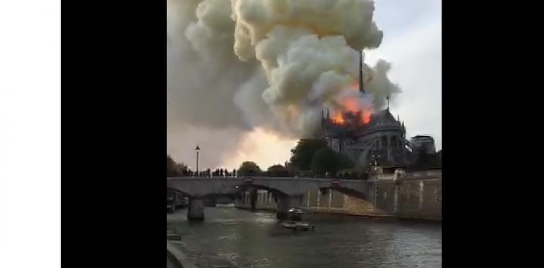 Un pavoroso incendio cubre de llamas Notre Dame en París (VIDEO)