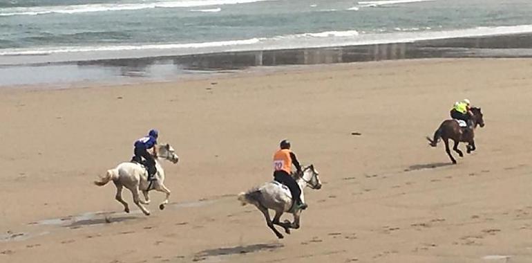 Las carreras de caballos en Santa Marina confirman su Interés Turístico