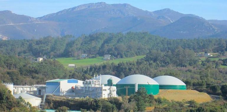 La Coordinadora Ecoloxista d’Asturies denuncia contaminación en Luarca