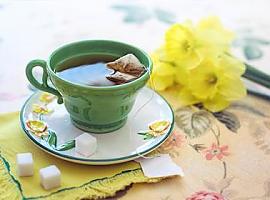 Científicos del CSIC aumentan la capacidad neuroprotectora del té verde