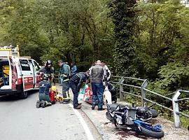 Dos motoristas heridos al caer a un desnivel en Cangas de Onís