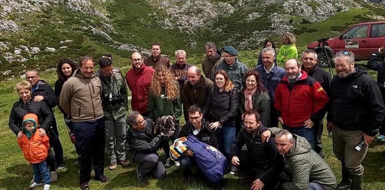 Tres nuevos quebrantahuesos en la familia asturiana de Picos