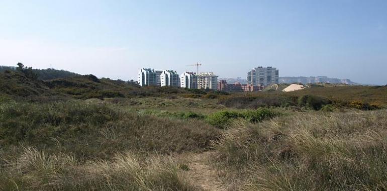 Ecologistas Avilés pide proteger todas las dunas del Espartal en Castrillón