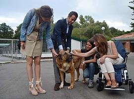 Oviedo realizará mejoras de confort para los animales del albergue municipal