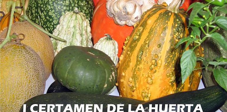 Abierto plazo de inscripción al “I Certamen de la Huerta Llangréu 2019”