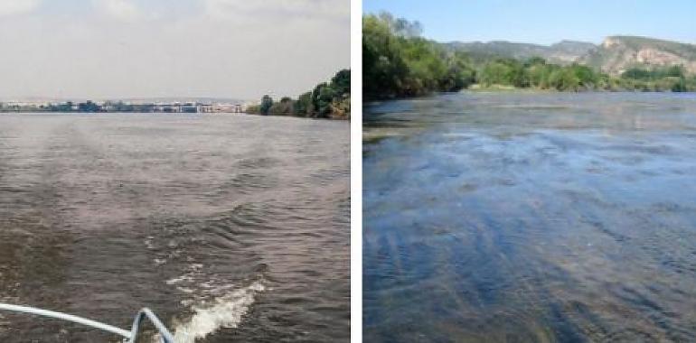 El tratamiento de las aguas urbanas provoca cambios en la flora y fauna de los ríos