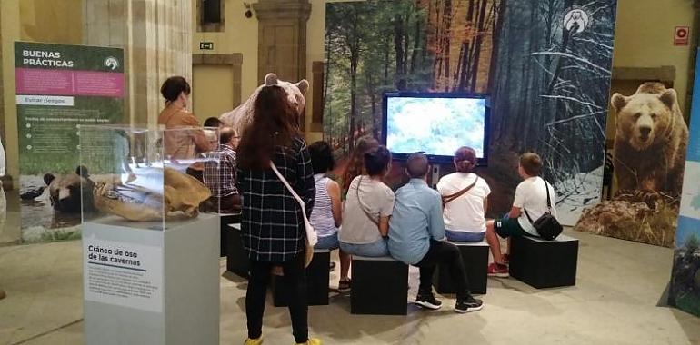 ‘Vivir con osos’ concluye su estancia en la Colegiata de Gijón con más de 33.500 visitantes