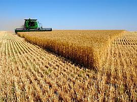 Agricultura publica el avance de la PAC 2018 cuya ejecución es superior a la campaña pasada