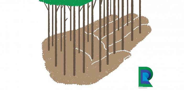 Avilés previene residuos con "El Bosque de las Tres Erres"