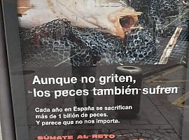 Ciudadanos pide censurar una campaña animalista en los mupis de Gijón