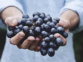 Un 86 % de los españoles tomarán las uvas de la suerte en Fin de año