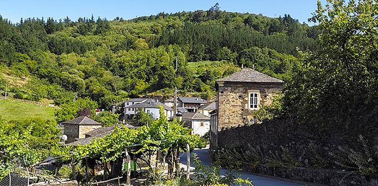 El Gobierno de Asturias rehabilitará, con 776.000 euros, 48 viviendas en Grandas y Pesoz