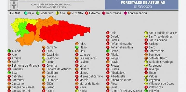 Contabilizados 21 Incendios Forestales en Asturias