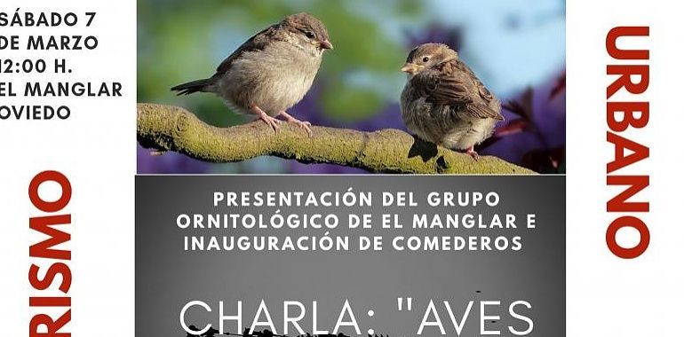 El Manglar presenta su grupo “Pajarismo Urbano” para los amantes de los pájaros