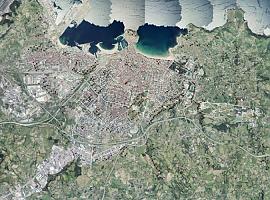 Gijón finaliza la fase de trampeo del avispón asiático 