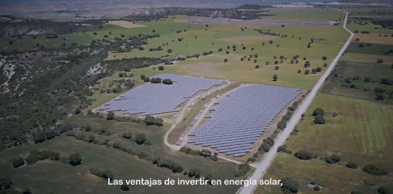 Greenpeace pide más protagonismo de energía solar y autoconsumo para la recuperación económica