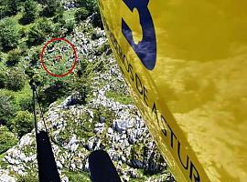 Rescatan montañero herido al caer en el Mirueñu, Sierra del Sueve