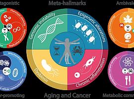 Nuevas claves y metaclaves del envejecimiento y el cáncer