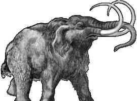 Cantabria recibe en donación un sacro de mamut para el museo de Prehistoria y Arqueología 