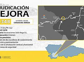 La construcción de dos escolleras en la carretera AS348 en Cangas del Narcea costará 87.347 euros