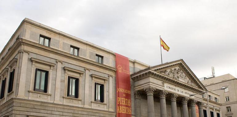 El Congreso celebra el 33 aniversario de la Constitución Española