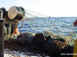 Confirman los beneficios de las reservas marinas sobre las pesquerías artesanales