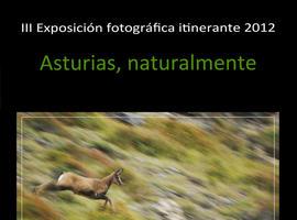 \Asturias, naturalmente\, fotografía de Naturaleza en Grado