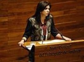 Lilián Fernández: “Con sus declaraciones, Fernando Lastra ha mentido a los asturianos”
